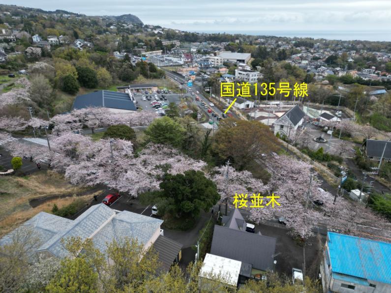 property_image