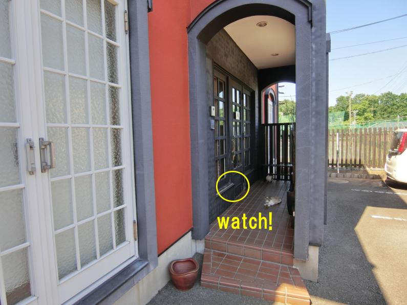 property_image