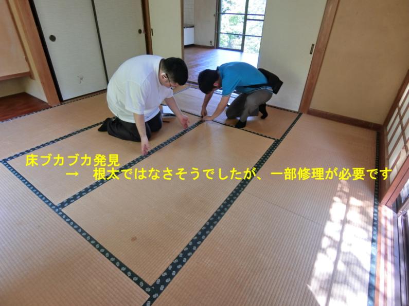 property_image