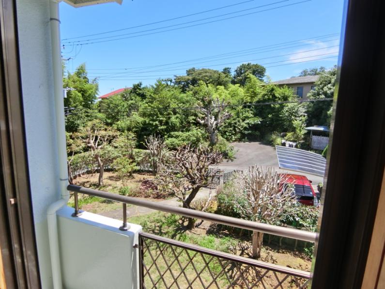 property_image