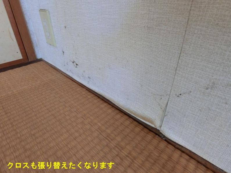 apartment 伊豆市冷川 [ 地図 ]