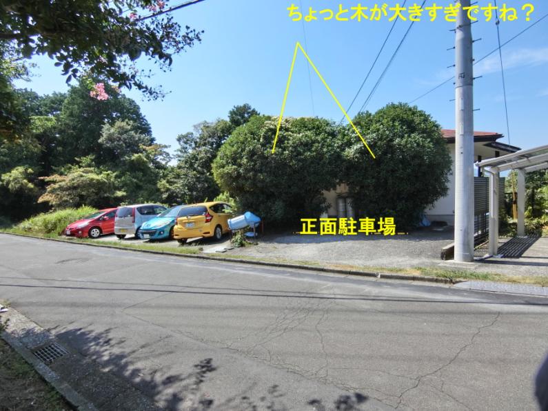property_image