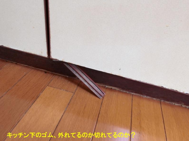 detached 田方郡函南町平井 [ 地図 ]
