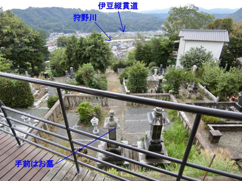 property_image