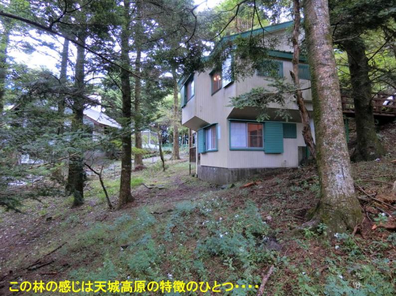property_image