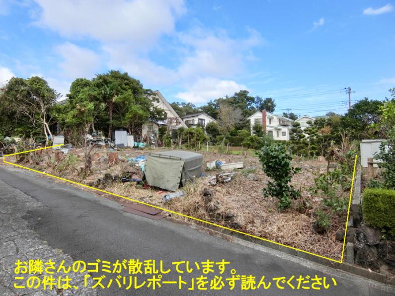 property_image