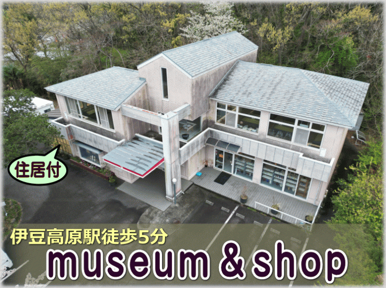 property_main_image