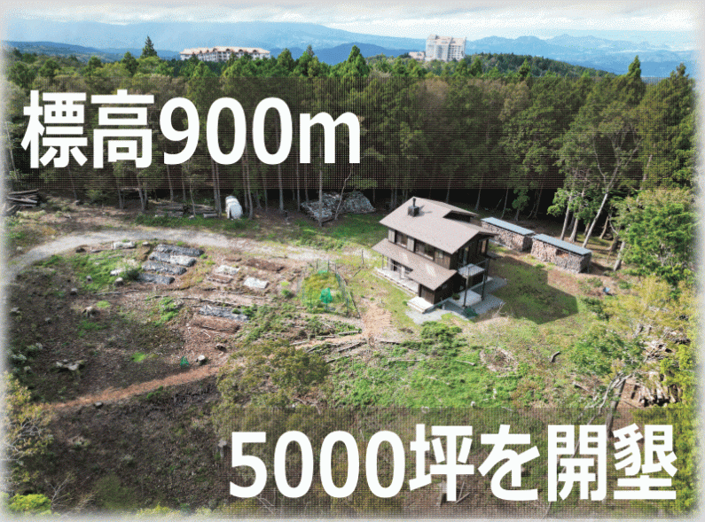 detached 伊豆市冷川 [ 地図 ]